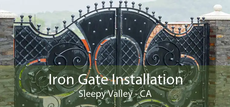 Iron Gate Installation Sleepy Valley - CA