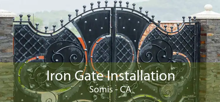 Iron Gate Installation Somis - CA