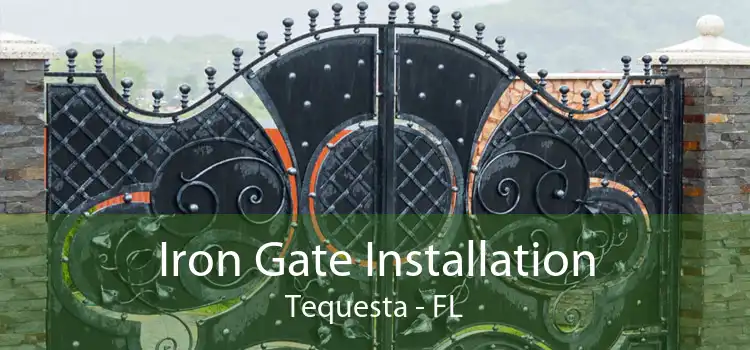 Iron Gate Installation Tequesta - FL