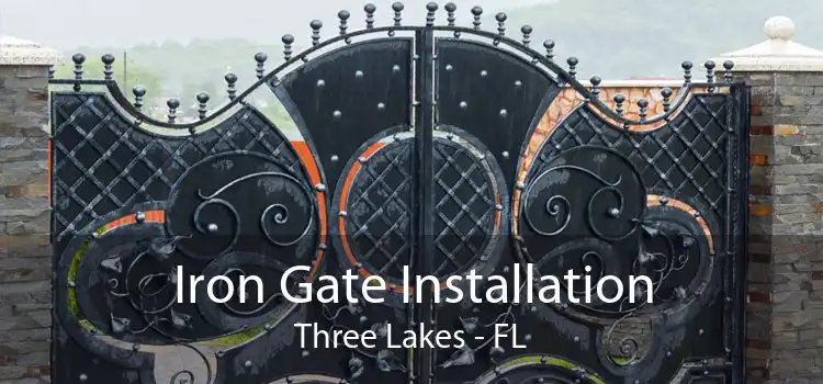 Iron Gate Installation Three Lakes - FL