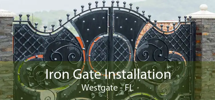 Iron Gate Installation Westgate - FL