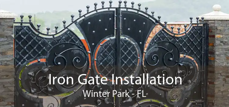 Iron Gate Installation Winter Park - FL