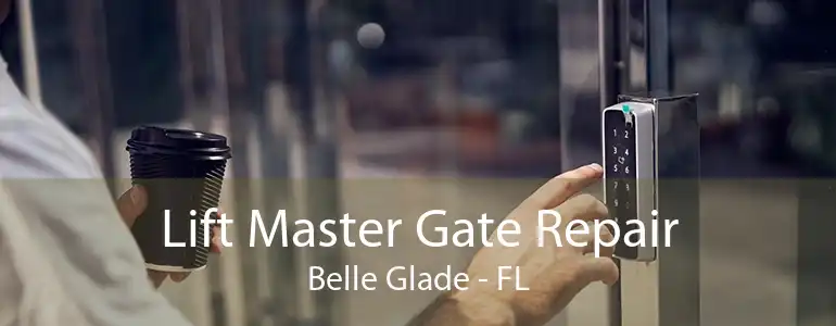 Lift Master Gate Repair Belle Glade - FL
