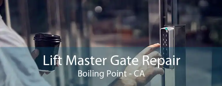 Lift Master Gate Repair Boiling Point - CA