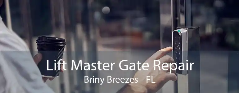 Lift Master Gate Repair Briny Breezes - FL