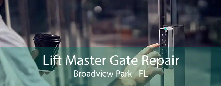 Lift Master Gate Repair Broadview Park - FL
