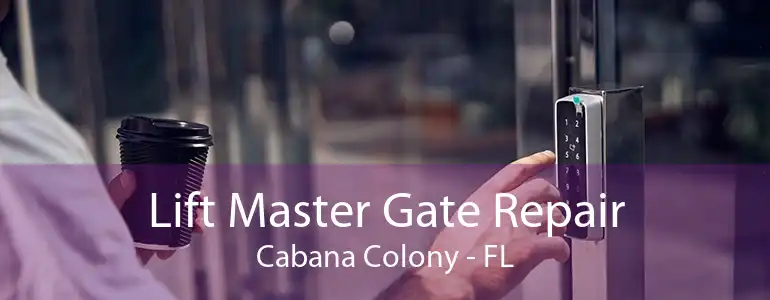 Lift Master Gate Repair Cabana Colony - FL