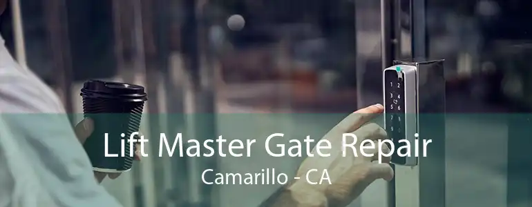 Lift Master Gate Repair Camarillo - CA
