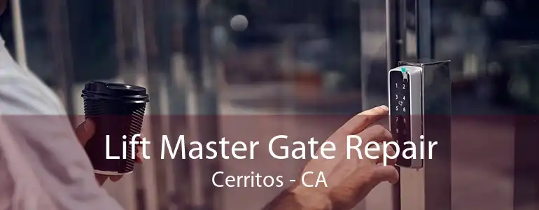 Lift Master Gate Repair Cerritos - CA