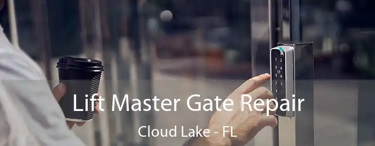  Lift Master Gate Repair Cloud Lake - FL