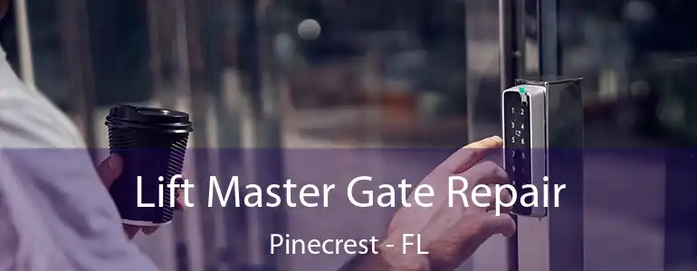  Lift Master Gate Repair Pinecrest - FL