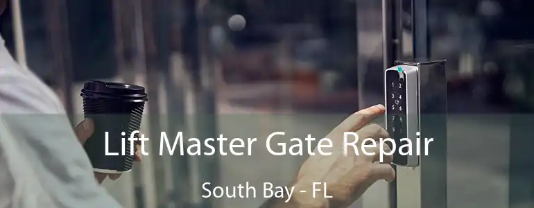  Lift Master Gate Repair South Bay - FL