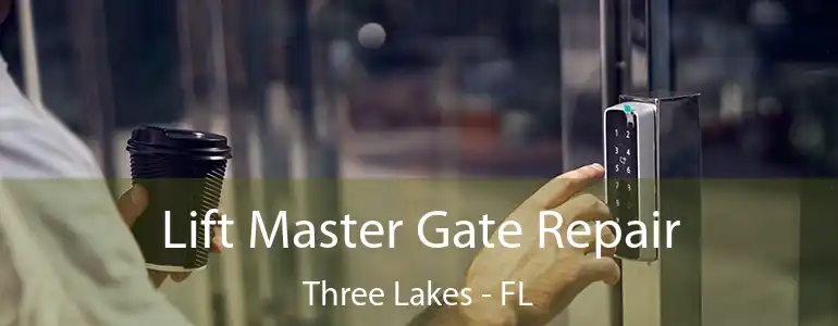  Lift Master Gate Repair Three Lakes - FL