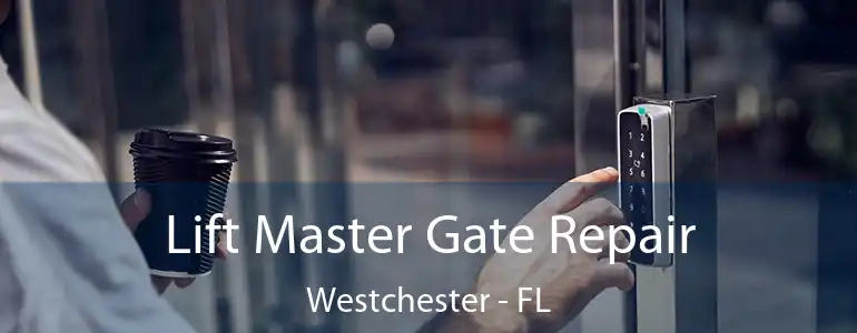  Lift Master Gate Repair Westchester - FL