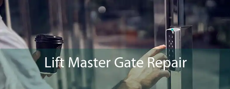 Lift Master Gate Repair 