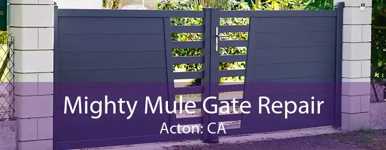 Mighty Mule Gate Repair Acton: CA