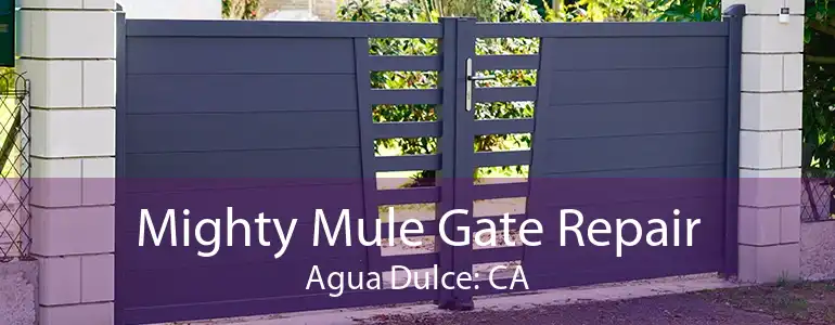 Mighty Mule Gate Repair Agua Dulce: CA