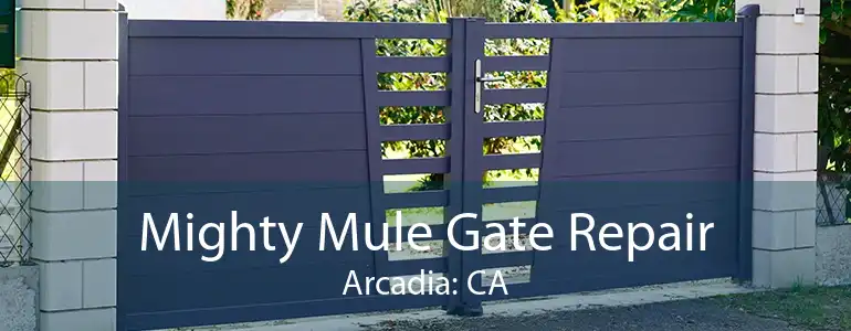 Mighty Mule Gate Repair Arcadia: CA