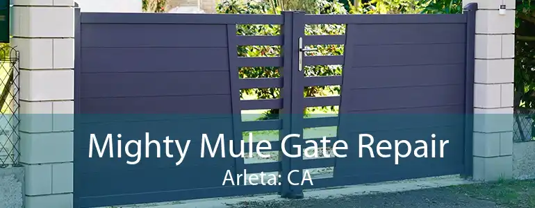 Mighty Mule Gate Repair Arleta: CA