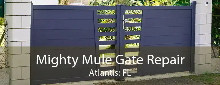 Mighty Mule Gate Repair Atlantis: FL