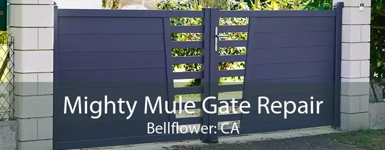 Mighty Mule Gate Repair Bellflower: CA