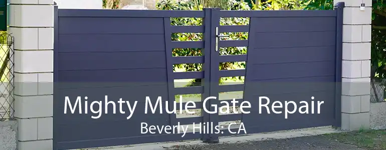 Mighty Mule Gate Repair Beverly Hills: CA