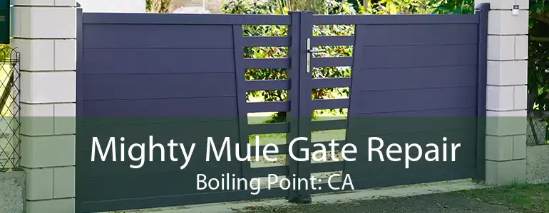 Mighty Mule Gate Repair Boiling Point: CA