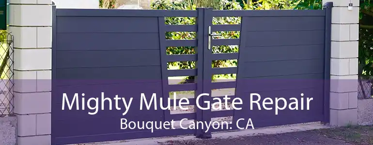 Mighty Mule Gate Repair Bouquet Canyon: CA