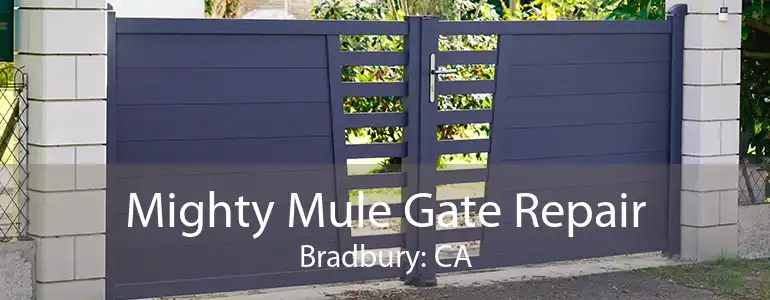 Mighty Mule Gate Repair Bradbury: CA