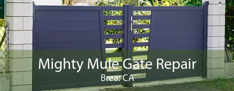 Mighty Mule Gate Repair Brea: CA