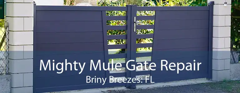 Mighty Mule Gate Repair Briny Breezes: FL