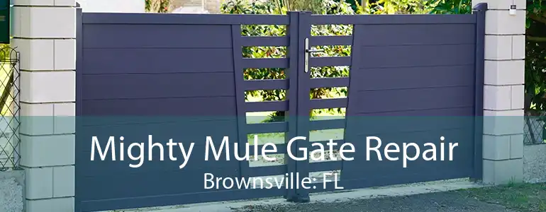 Mighty Mule Gate Repair Brownsville: FL