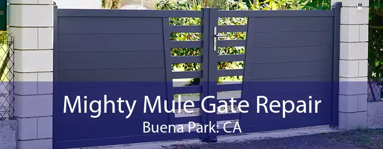 Mighty Mule Gate Repair Buena Park: CA