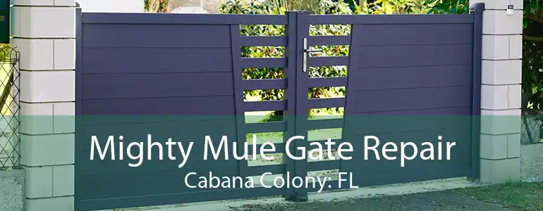 Mighty Mule Gate Repair Cabana Colony: FL