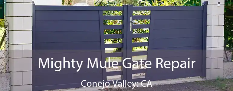  Mighty Mule Gate Repair Conejo Valley: CA