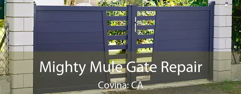  Mighty Mule Gate Repair Covina: CA