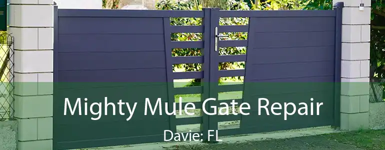  Mighty Mule Gate Repair Davie: FL