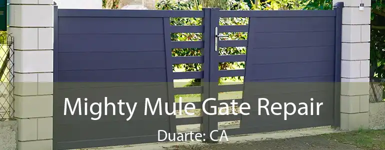  Mighty Mule Gate Repair Duarte: CA