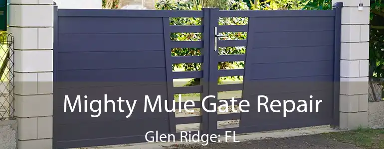  Mighty Mule Gate Repair Glen Ridge: FL