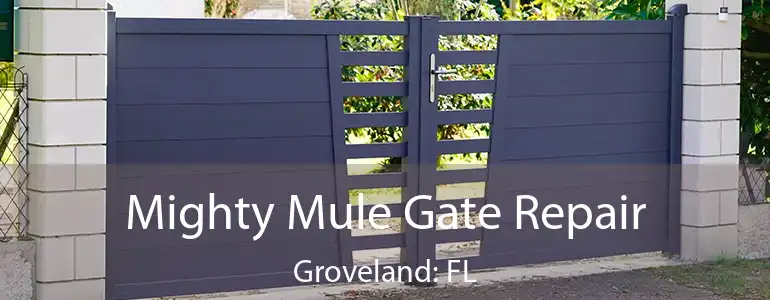  Mighty Mule Gate Repair Groveland: FL