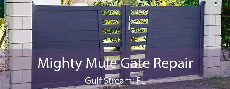  Mighty Mule Gate Repair Gulf Stream: FL