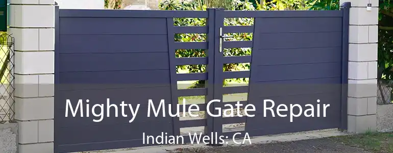  Mighty Mule Gate Repair Indian Wells: CA