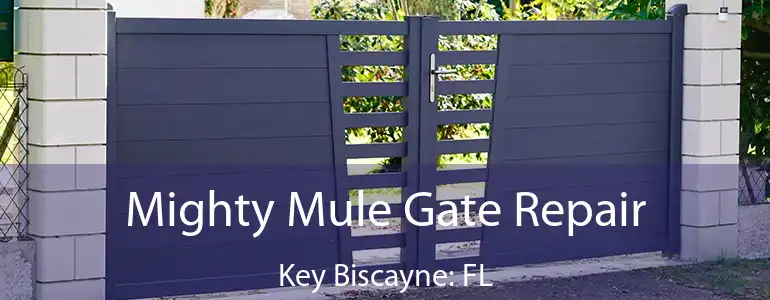  Mighty Mule Gate Repair Key Biscayne: FL