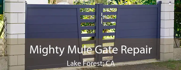  Mighty Mule Gate Repair Lake Forest: CA