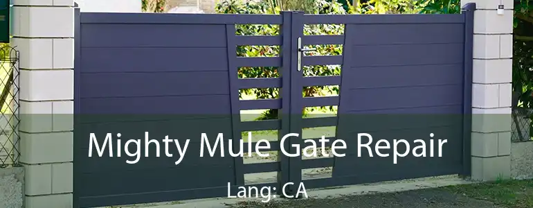 Mighty Mule Gate Repair Lang: CA