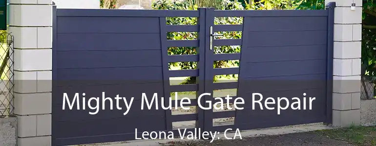  Mighty Mule Gate Repair Leona Valley: CA