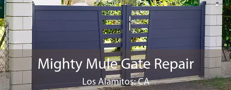  Mighty Mule Gate Repair Los Alamitos: CA