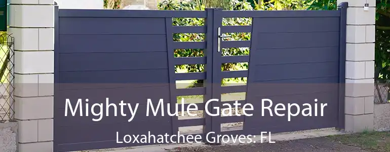  Mighty Mule Gate Repair Loxahatchee Groves: FL