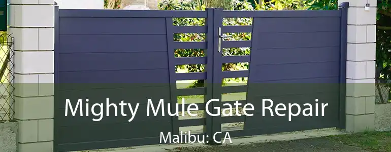 Mighty Mule Gate Repair Malibu: CA