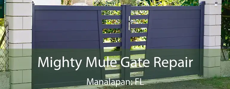  Mighty Mule Gate Repair Manalapan: FL